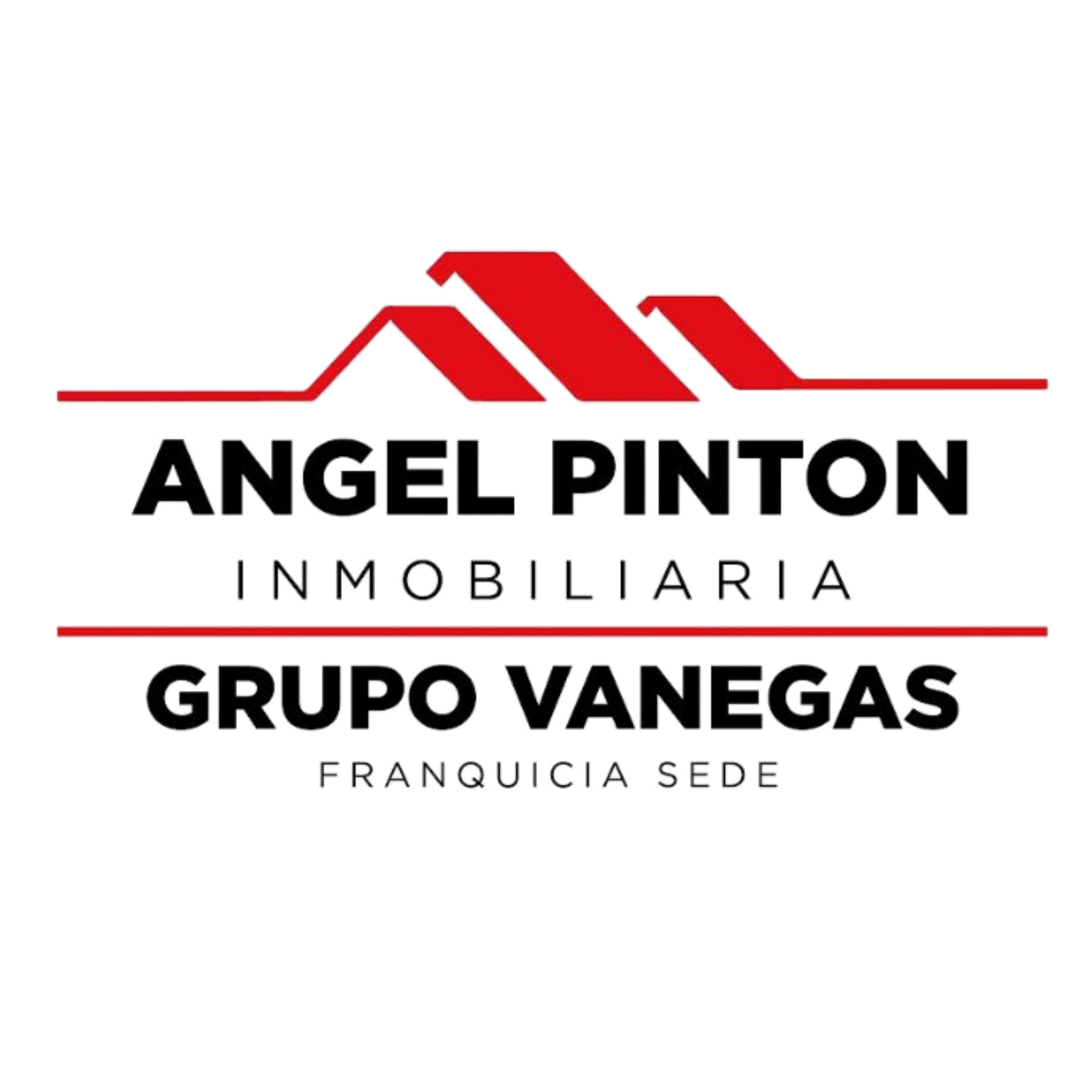 Angel Pintón Inmobiliaria · Grupo Vanegas