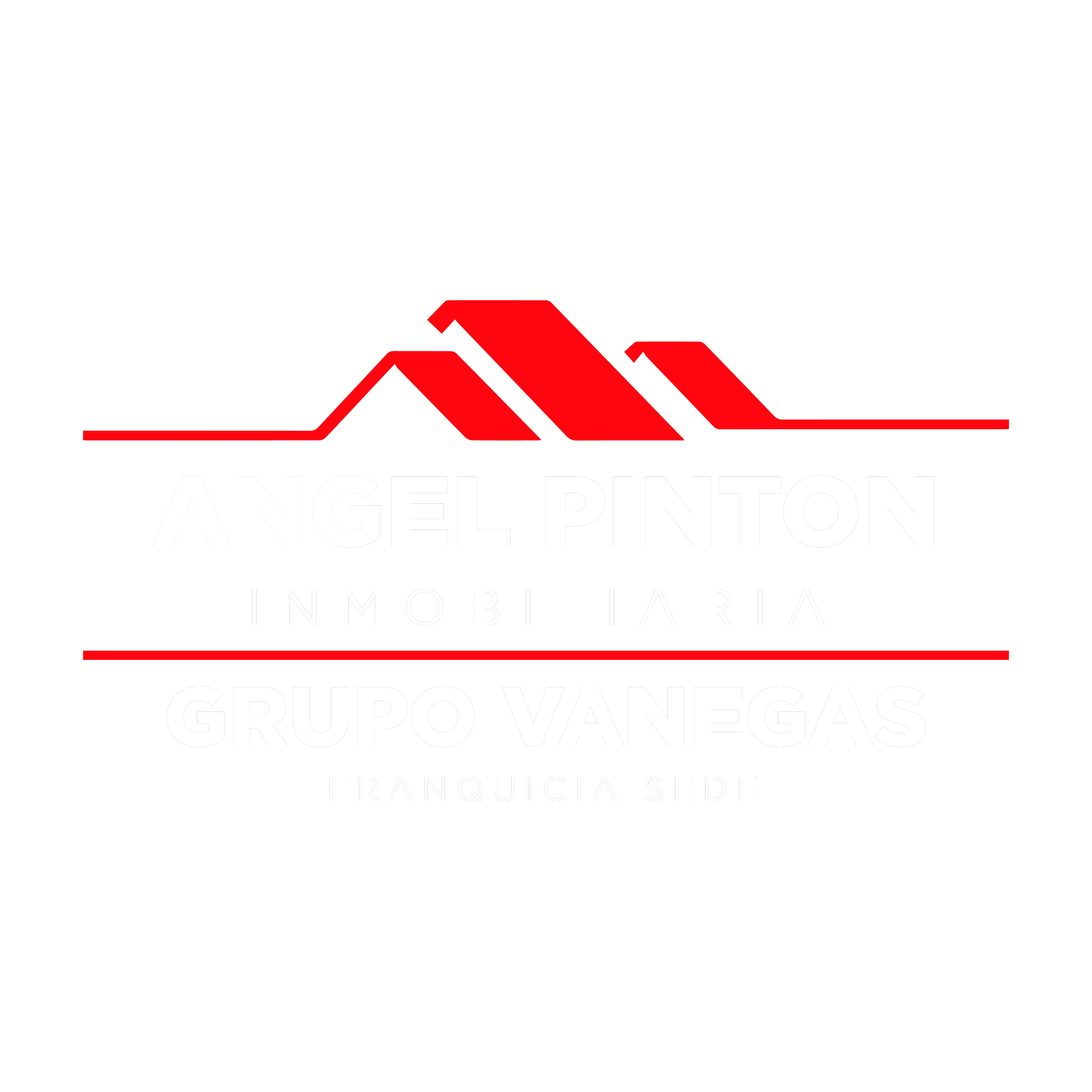 Angel Pintón Inmobiliaria · Grupo Vanegas